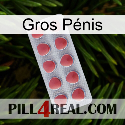 Gros Pénis 18